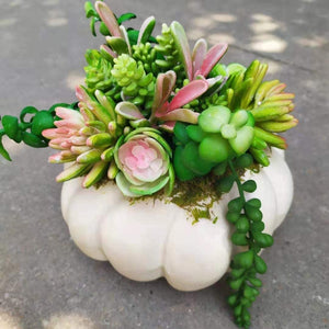 White Faux Pumpkin with Succulents Fall Table Decoration - Autumn Centerpiece